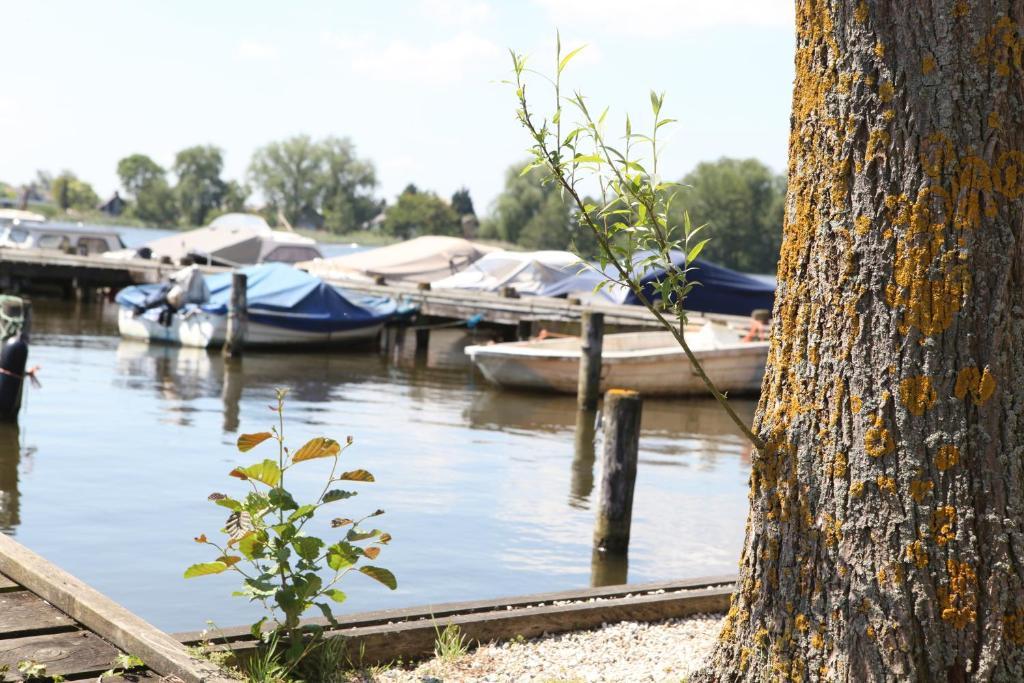 Hotel Restaurant De Hoogt Maasdam Eksteriør billede